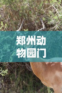 [教程经验]“微乐捉鸡麻将怎样玩才能赢分”(透视)开挂辅助脚本+详细开挂安装教程