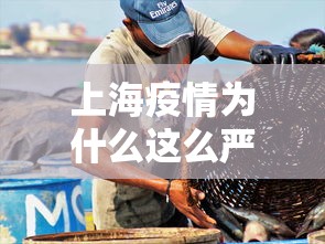 【终于出现】“微乐麻将外卦神器下载安装微信号”详细外挂安装步骤