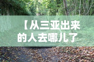 【揭秘一下】“福建微乐麻将输赢规律	”(果然有透视挂)
