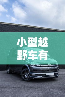 一分钟介绍应用“微乐家乡麻将老是输是什么原因”真可以装挂