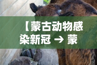 今日教程“微信河北微乐麻将挂	”分享用挂教程