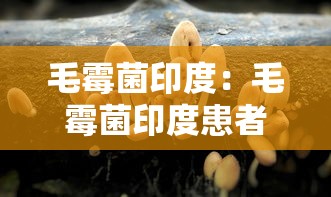 【玩家新攻略】“微乐河北麻将怎么提高胜率”详细外挂辅助详细教程
