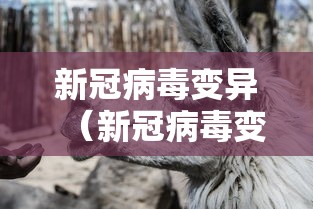 万能开挂辅助“微友娱乐有没有挂啊？	”(透视)开挂辅助脚本+详细开挂安装教程